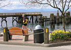 sunny Davis Bay