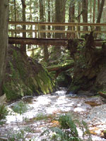 Cliff Gilker Park, Roberts Creek