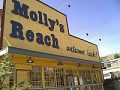 Molly's Reach